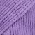 31 purple