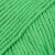 72 parrot green