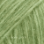 12 moss green