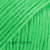 43 parrot green